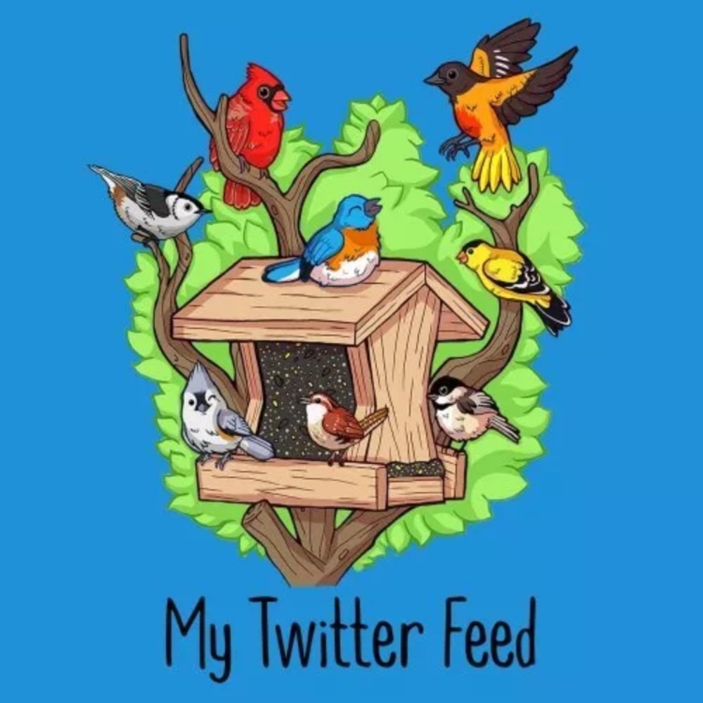 My Twitter Feed Adult Ladies T-Shirt Sizes
